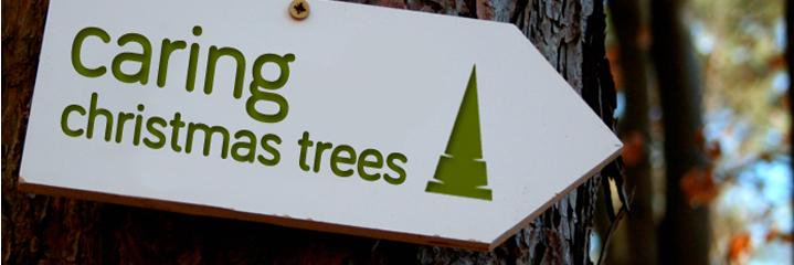 CaringChristmasTrees banner