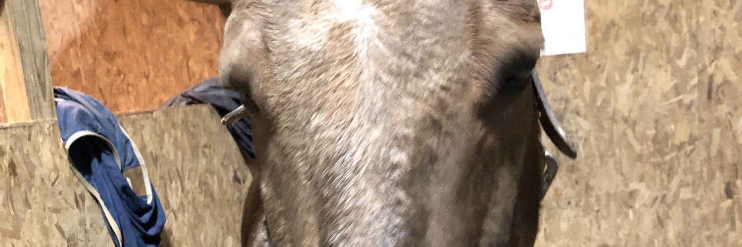 mpmoffitt's profile banner image
