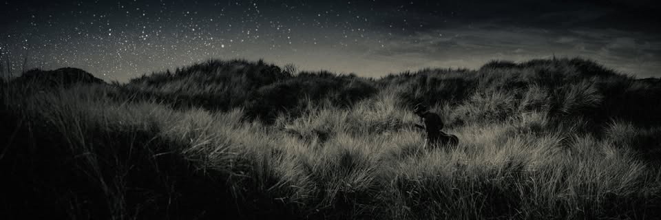 Gregory Alan Isakov banner