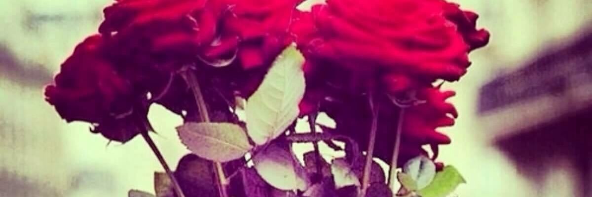 Lauw___S's profile banner image