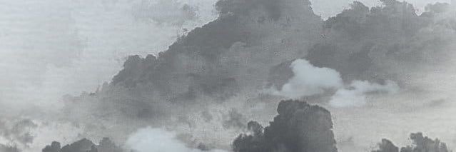 tcarnerero's profile banner image