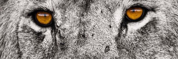 bekirovmax91's profile banner image