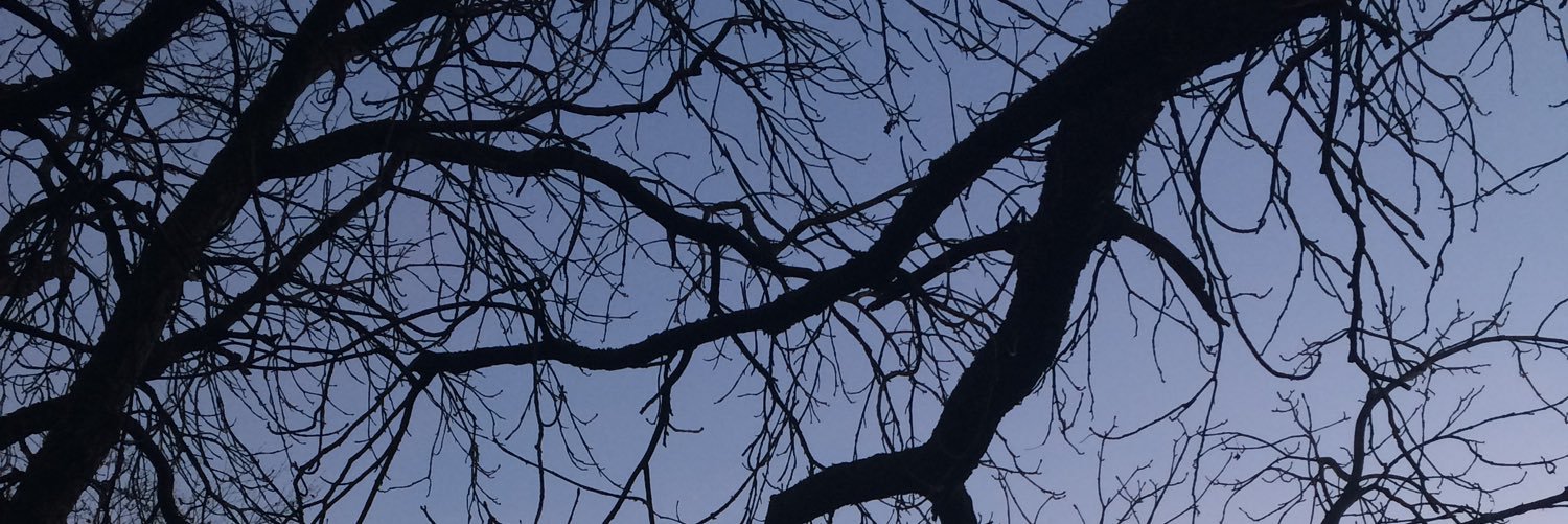 Grilster's profile banner image