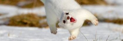 시하 banner