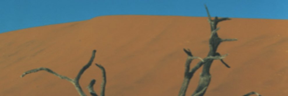 swipeblues's profile banner image