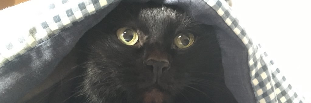 golchef's profile banner image