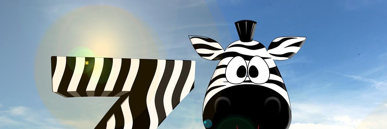 Carol McCullough 🦓 ⚡🐬🗿 banner