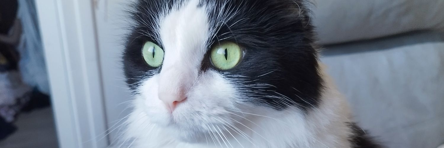 Manon 🤎🌻 banner