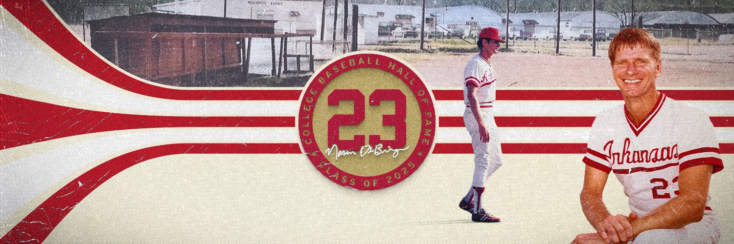 Arkansas Baseball banner