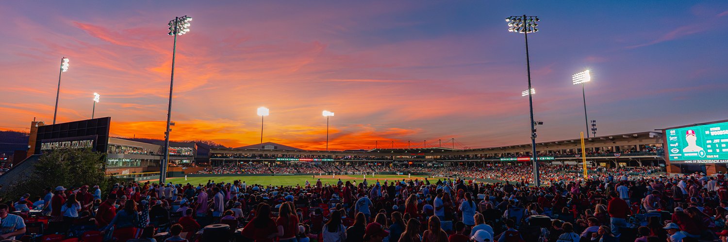 Arkansas Baseball banner