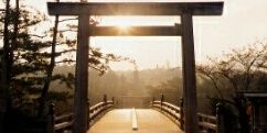 tz_staff's profile banner image