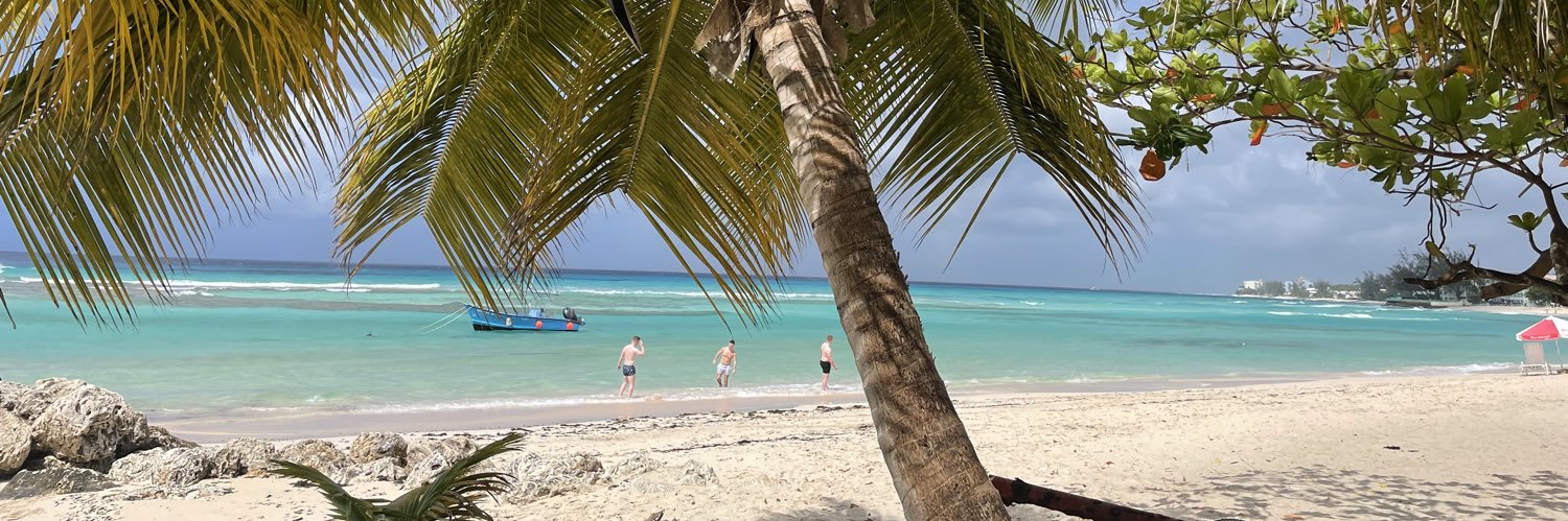 Lisa Bates-Wallis banner