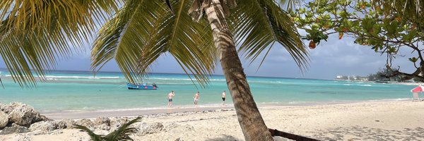 lisabateswallis Profile Banner