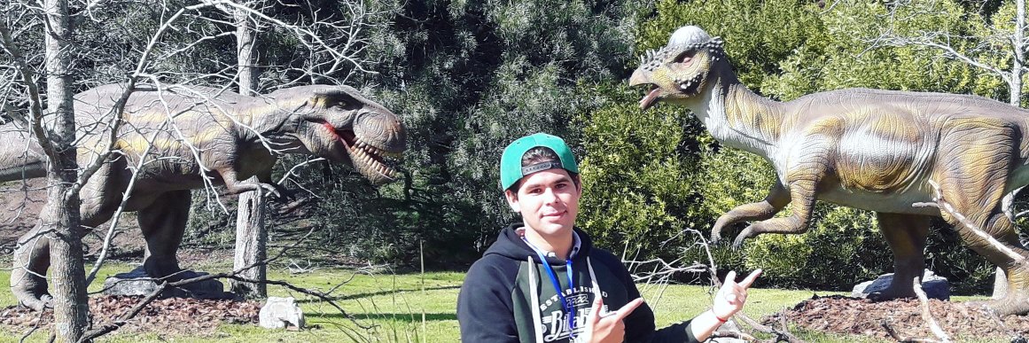 Jerepaez10's profile banner image