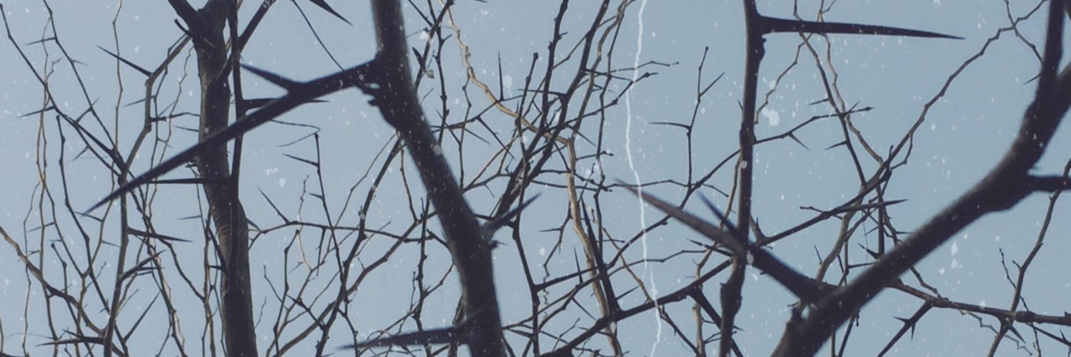 toricrow's profile banner image
