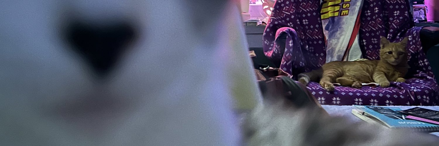 jemsagcal's profile banner image