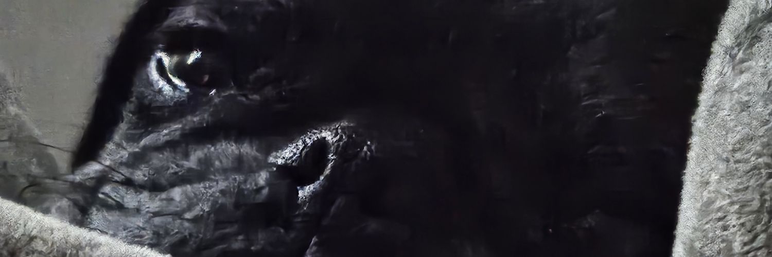 Nicholas12354's profile banner image