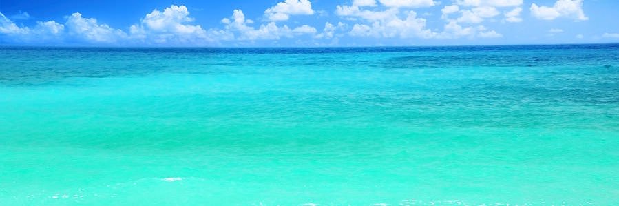 candislove_'s profile banner image