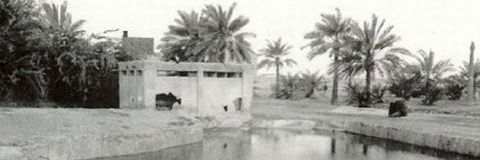 Mahoozi97's profile banner image