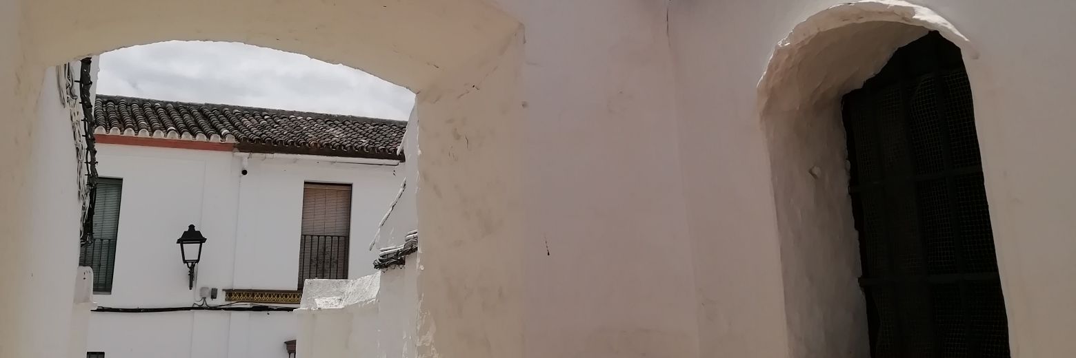 JJclavij's profile banner image