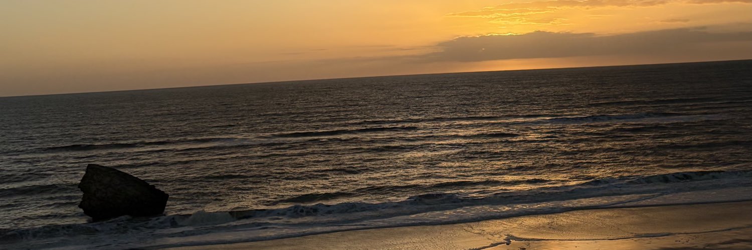 Virginiangarcia's profile banner image