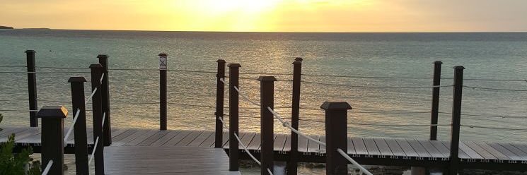 littlebeck_'s profile banner image