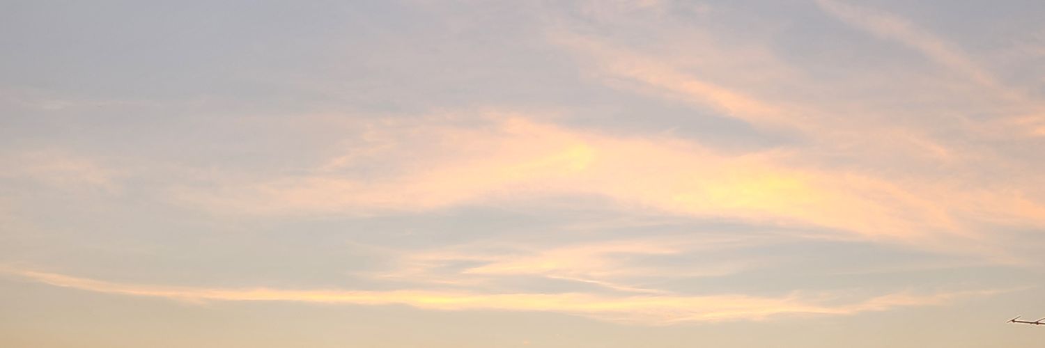gudboibwi's profile banner image