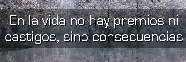 salchi_slp's profile banner image