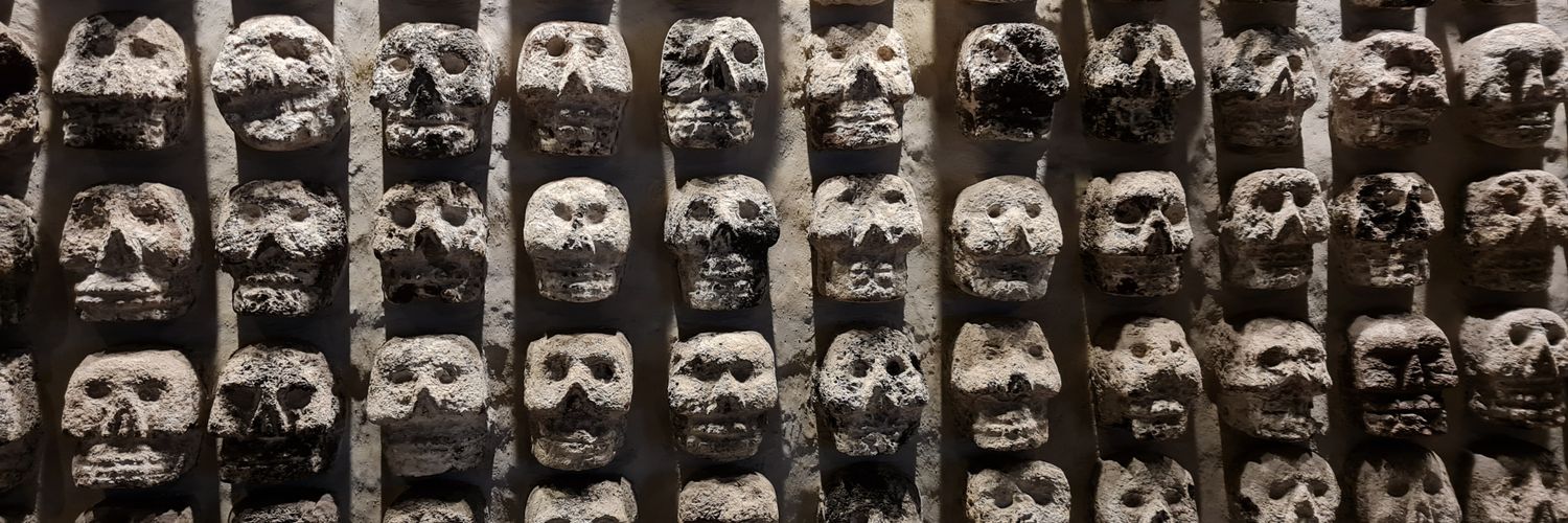 Gerardo Angulo PhD ∴ 🌹✝️ banner