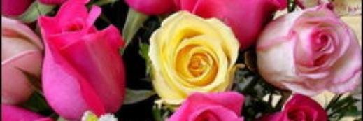 kenethmlangwa's profile banner image