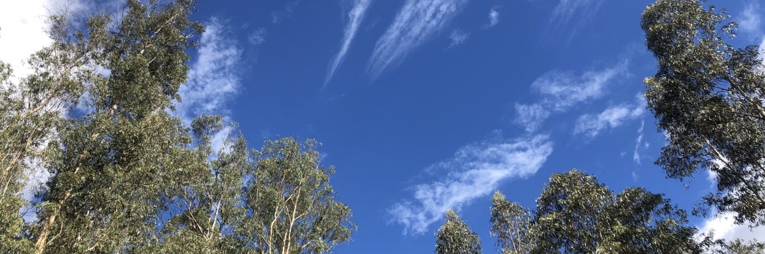 guidoSD901's profile banner image
