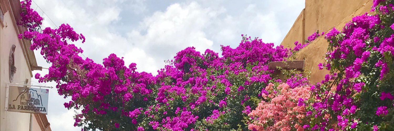 Amen512's profile banner image