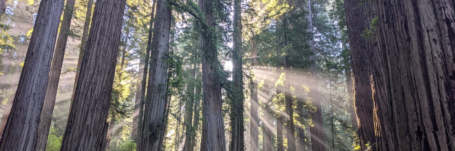 Andrew Reece | PhD Behavioral Data Scientist banner