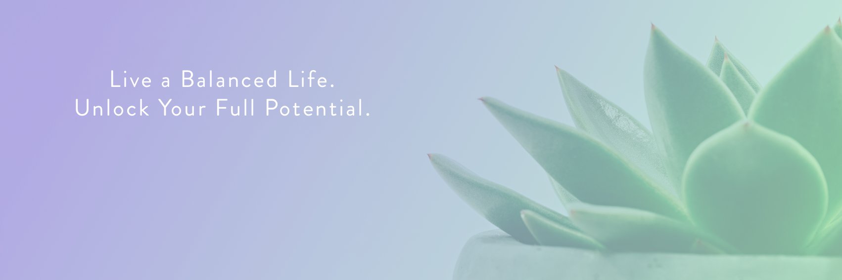 WellbeingWheel's profile banner image
