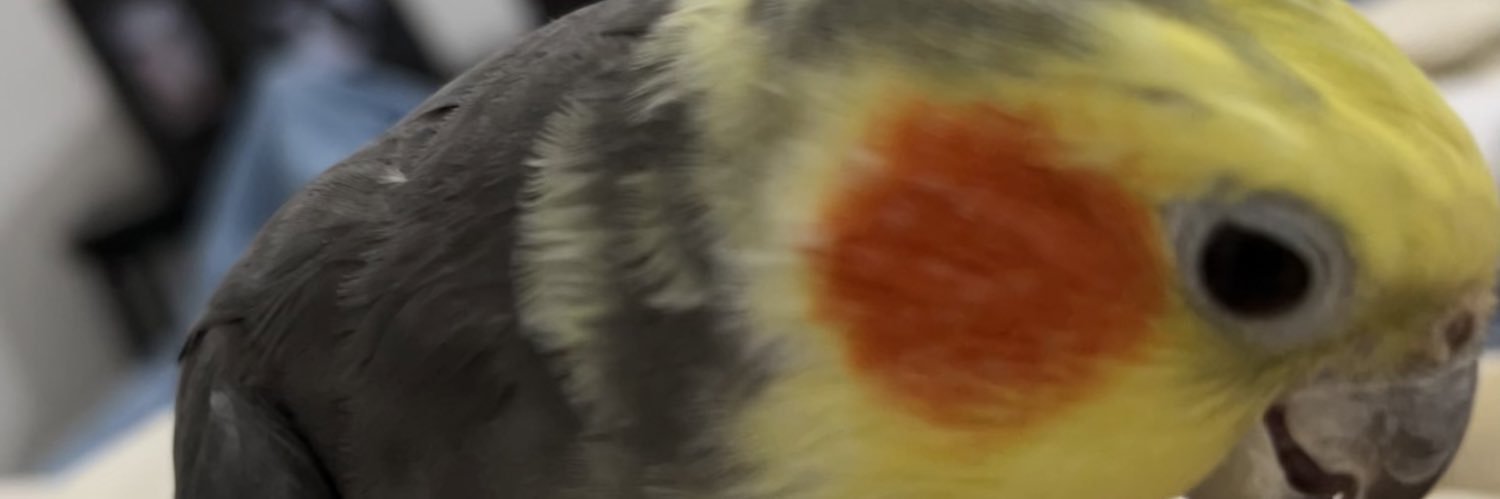FelipeHeiderich's profile banner image