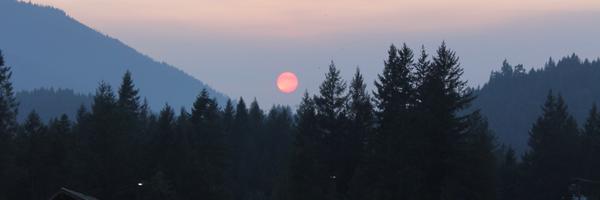 theRealStsailes Profile Banner