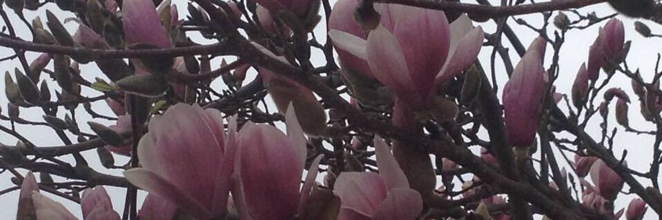 lil_lightworker's profile banner image