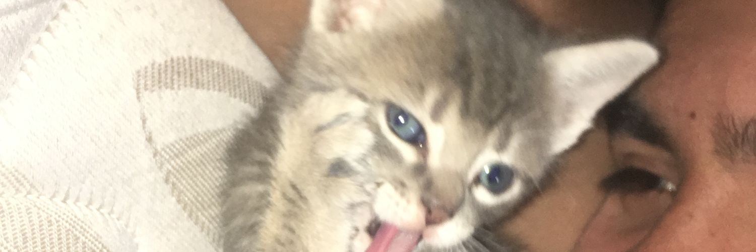 Cataml1's profile banner image