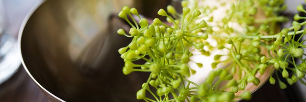 PhillyHomeShow Profile Banner