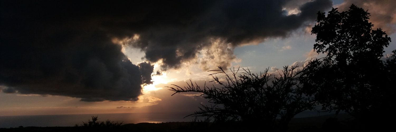 D_Danzx's profile banner image