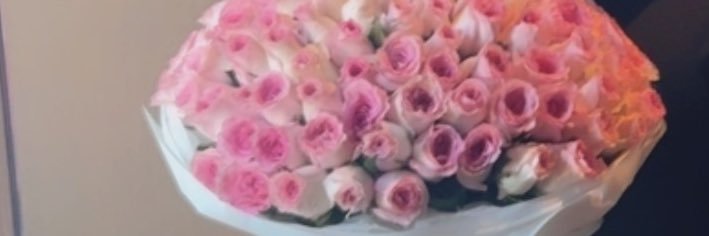 Huner_Gul's profile banner image