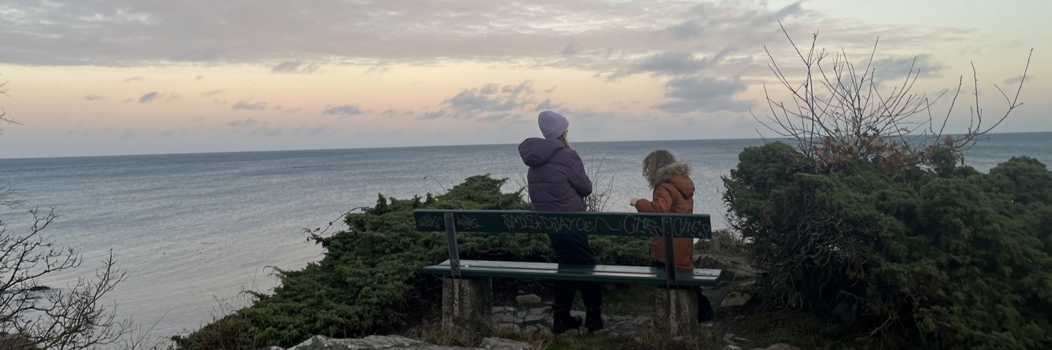 LeaWermelin's profile banner image