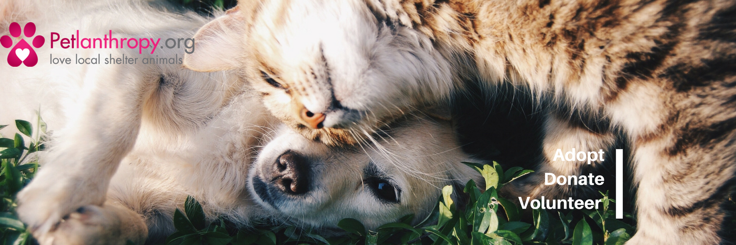 petlanthropy's profile banner image