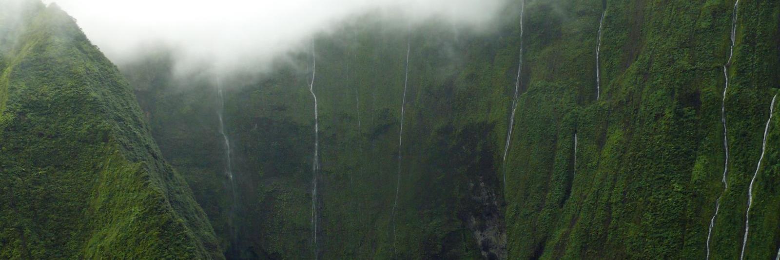 KauaiDOW's profile banner image
