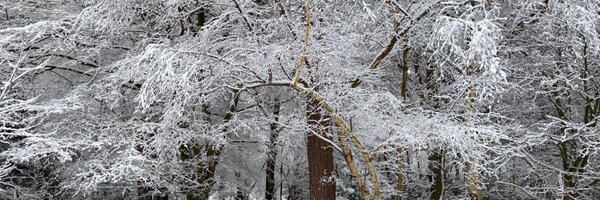 RussPalumbo Profile Banner