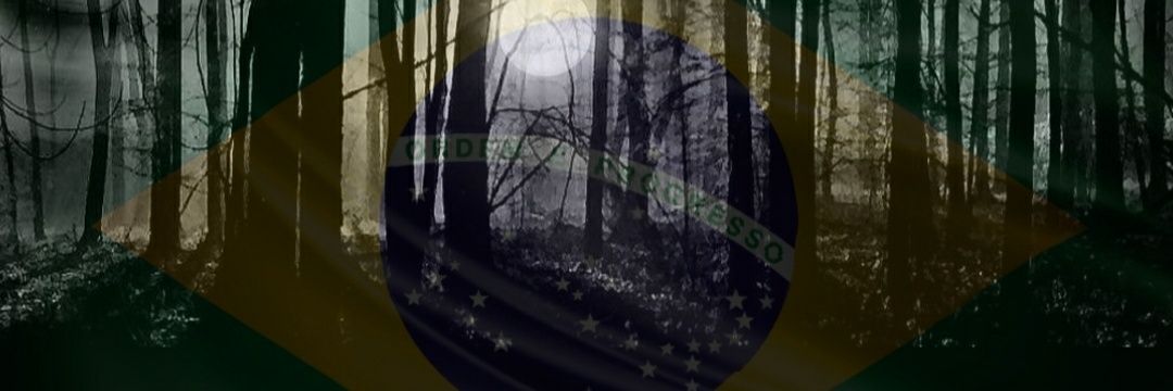 _Fora_Bolsonaro's profile banner image