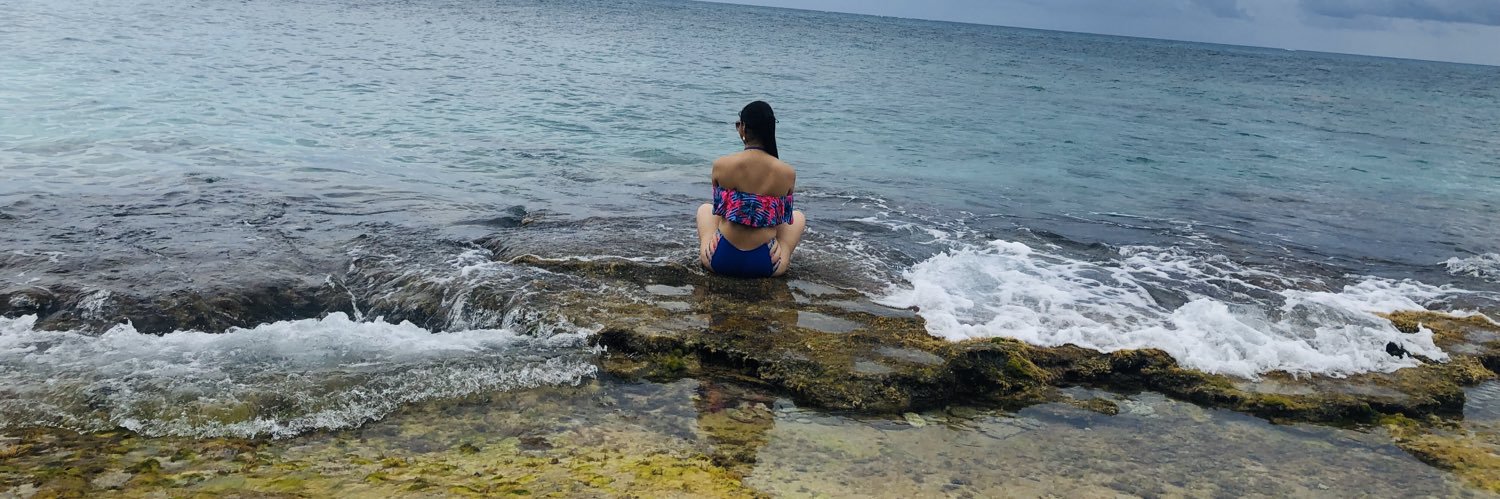 laura_mereles's profile banner image