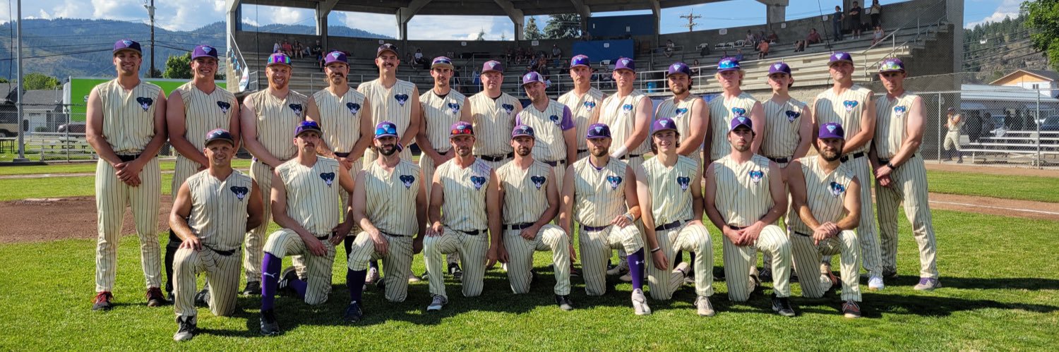 Dinger Bat Diamondbacks banner