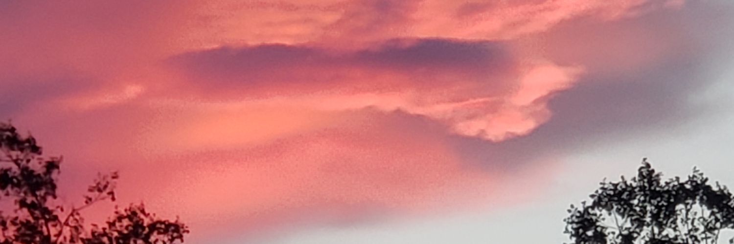 melanie0417's profile banner image