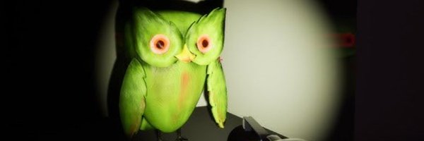 DREUG44's profile banner image